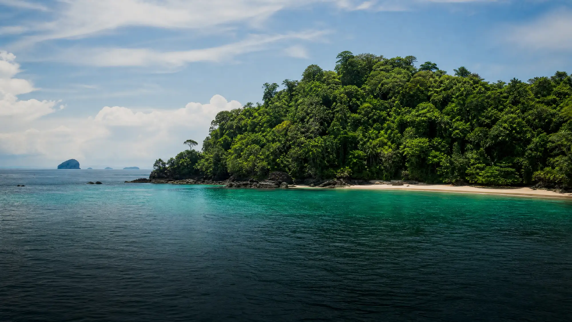 Täglich starten Schnellboote in Santa Catalina zu einer 1,5-stündigen Fahrt zum Meeresschutzgebiet von Coiba. Besucher schnorcheln an Korallenriffen, wandern auf Dschungelpfaden und beobachten Meerestiere.